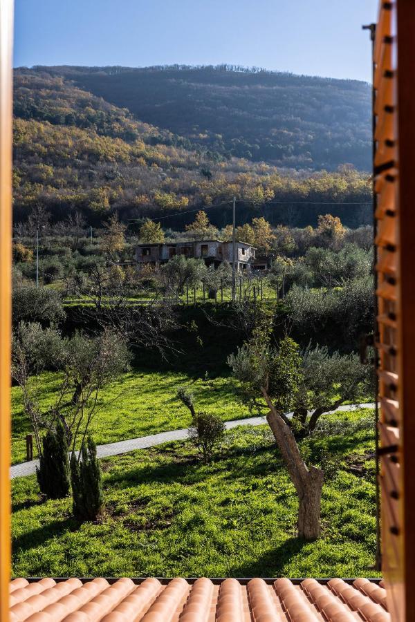 Tenuta Pascarella Bed & Breakfast Frasso Telesino Exterior foto